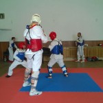 taekwondo-WTF-soustredeni-2014-2